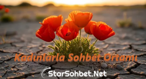 Kadınlarla Sohbet Ortamı