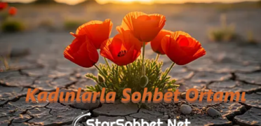 Kadınlarla Sohbet Ortamı