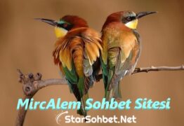 MircAlem Sohbet Sitesi