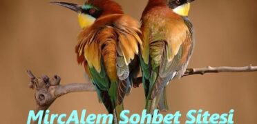 MircAlem Sohbet Sitesi