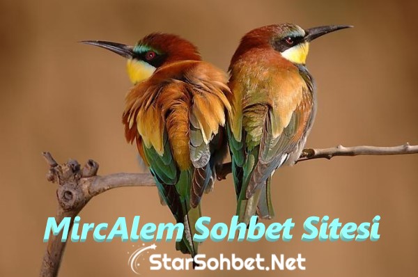 MircAlem Sohbet Sitesi