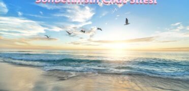 Sohbetimsin Chat Sitesi